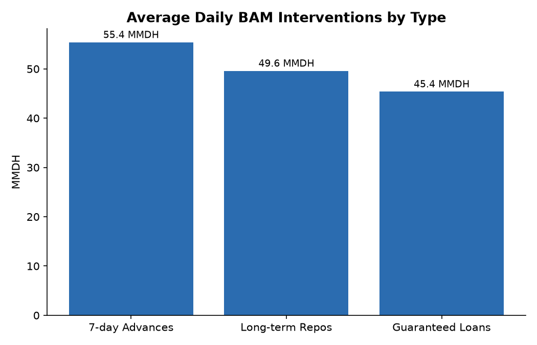 Average Daily BAM Interventions by Type