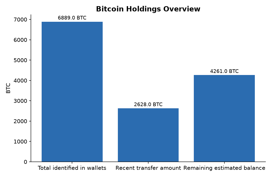 Bitcoin Holdings Overview
