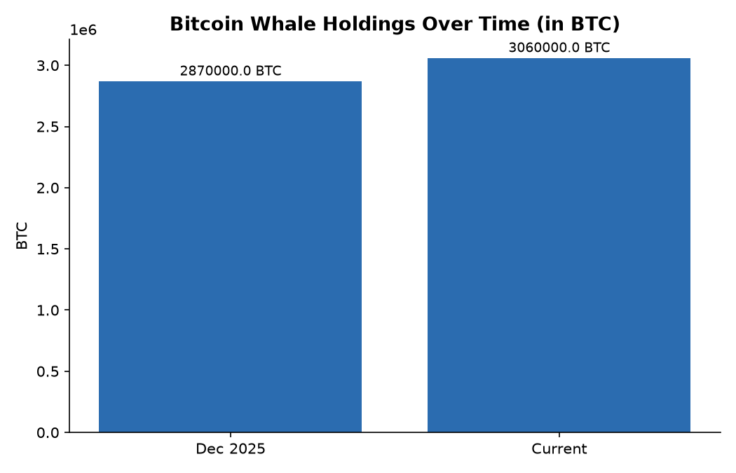 Bitcoin Whale Holdings Over Time (in BTC)