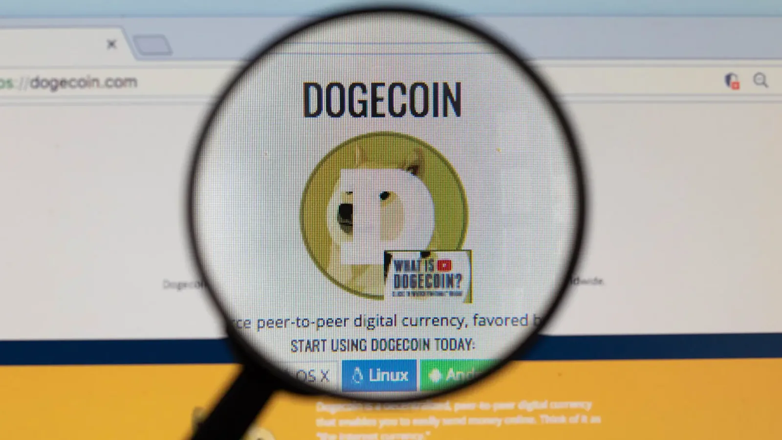 Dogecoin Speculation Surges Despite Massive Year-Long Price Decline