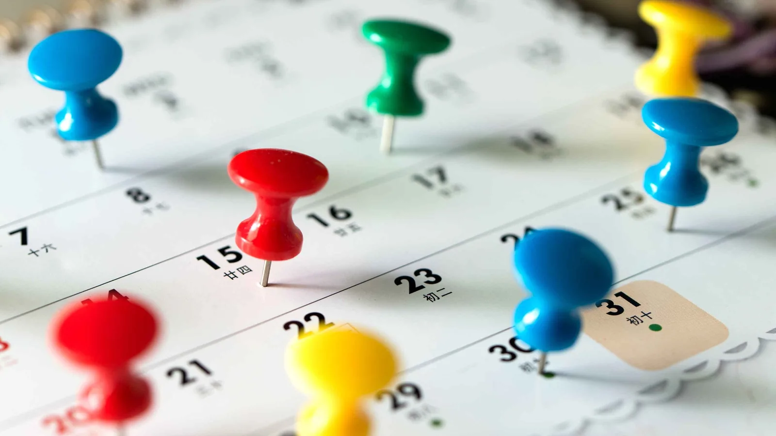 Market Pulse: Key Earnings Trends Shaping the Industrial and Tech Sectors