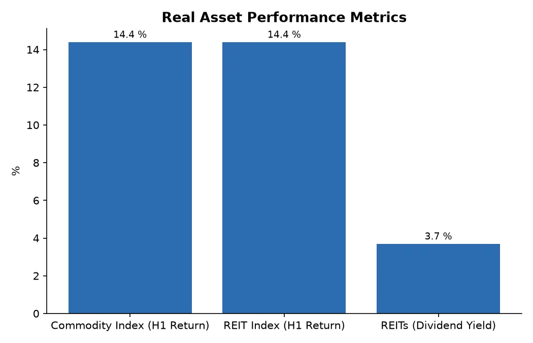 Real Asset Performance Metrics